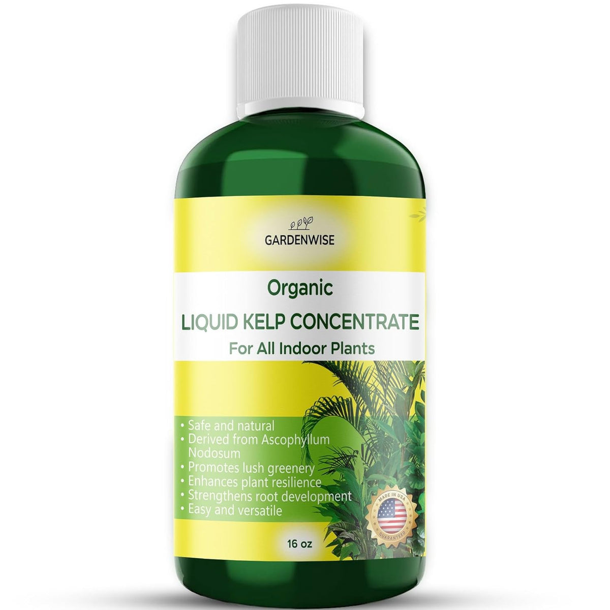 Organic Premium Kelp Seaweed Fertilizer - Liquid Hydroponics Fertilizer - Liquid Plant Food