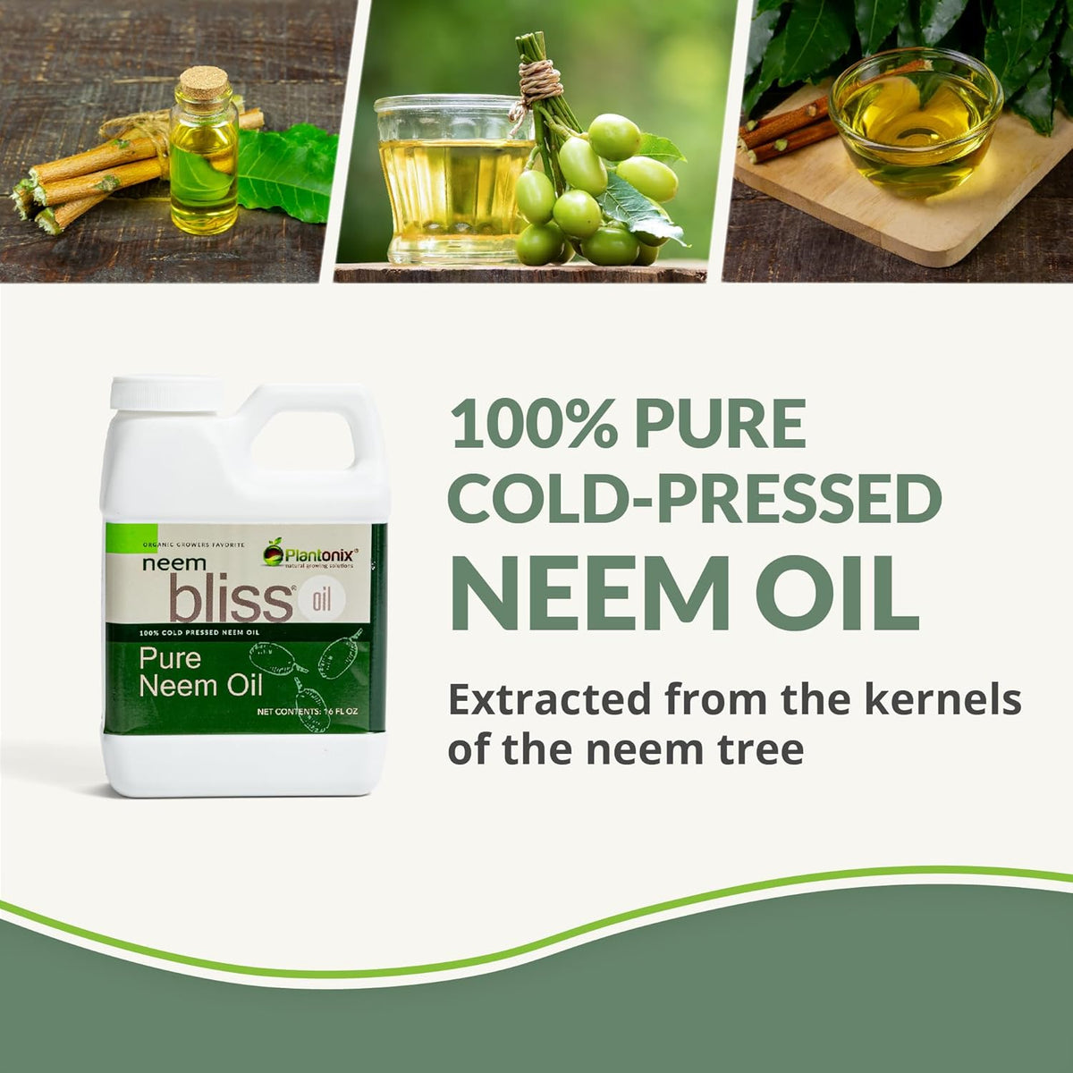 Neem Bliss (8 Fl Oz) - Pure Neem Oil Concentrate - 100% Cold Pressed Neem Oil - All-Natural Neem