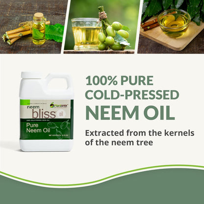 Neem Bliss (8 Fl Oz) - Pure Neem Oil Concentrate - 100% Cold Pressed Neem Oil - All-Natural Neem