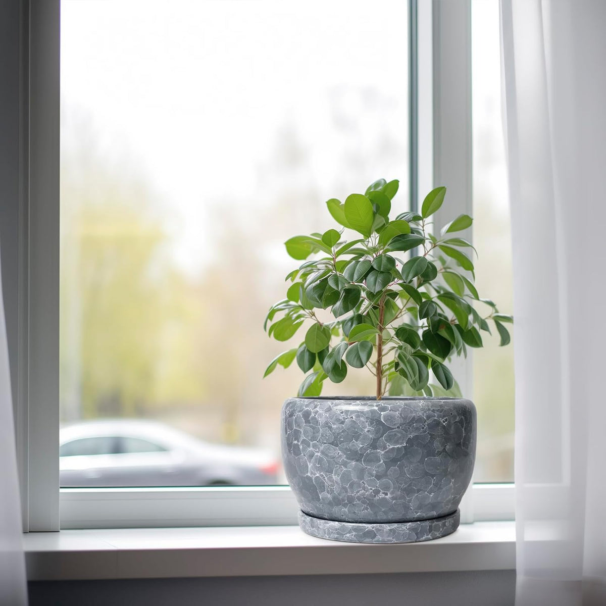 SQOWL 8 inch Plant pots Indoor - Ceramic Planter with Drainage Hole and Plant Saucer, Decorative