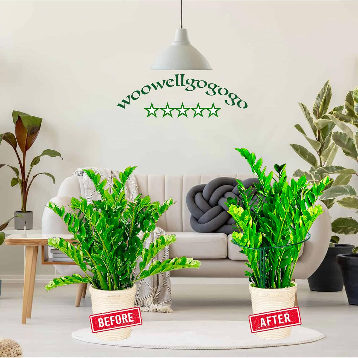 8 Pack Snake Plant Support Stakes - Rust-Proof Half Round Peony Stakes and Supports - Ideal for