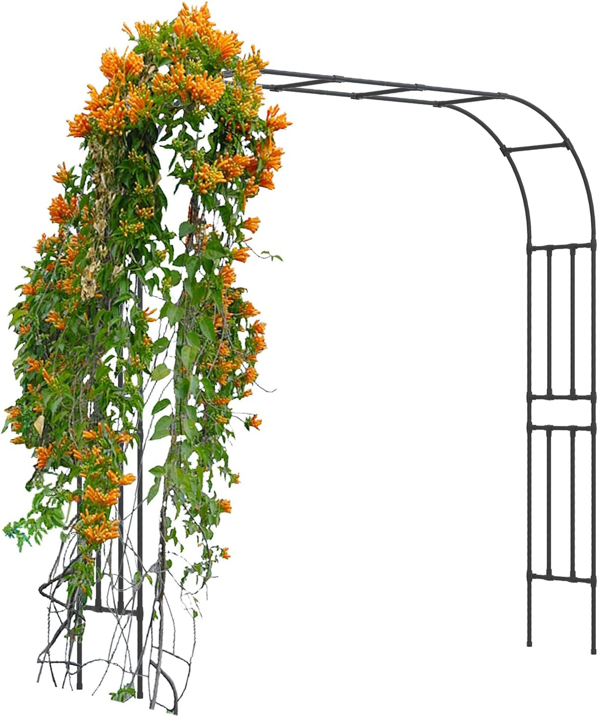 Metal Garden Arch - Length: 98.5in, Wide: 15.8in Garden Arches Trellis for Climbing Plants Outdoor
