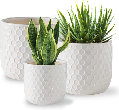 Docrin Plant Pots Indoor with Drainage: 6.4+5.3+4 Inch Ceramic Flower Pots for Plants - Set of 3