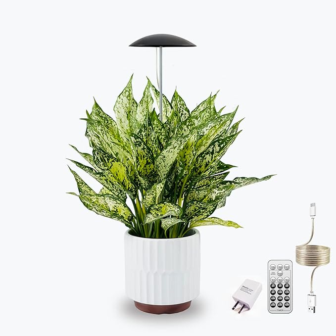 LED Grow Lights for Indoor Plants, Smart USB Small Full Spectrum Plant Lights with Remote, Height