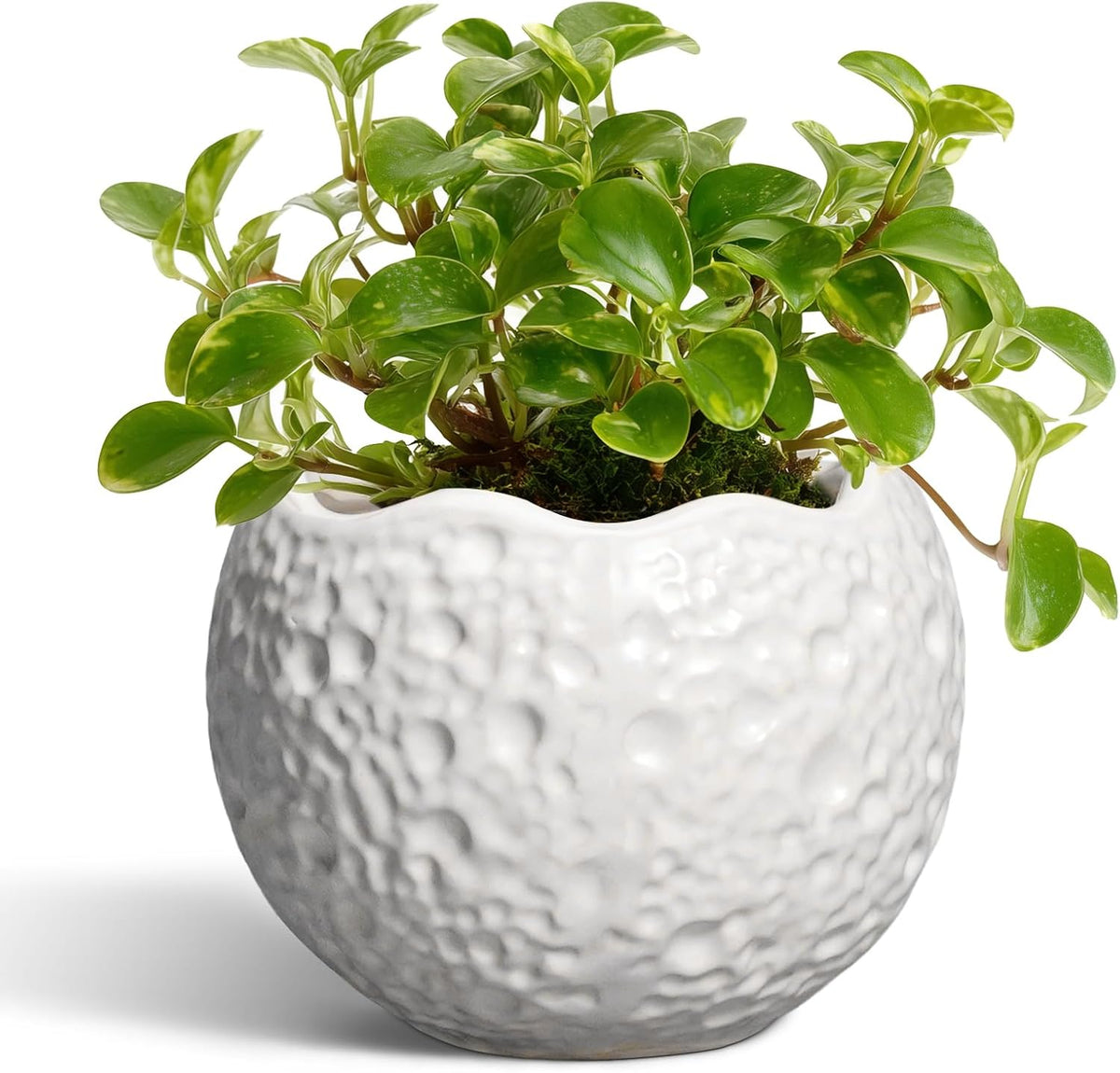 4 inch Plant Pots - Ceramic Pots for Plants with Drainage Hole, Small Planter for Indoor Outdoor