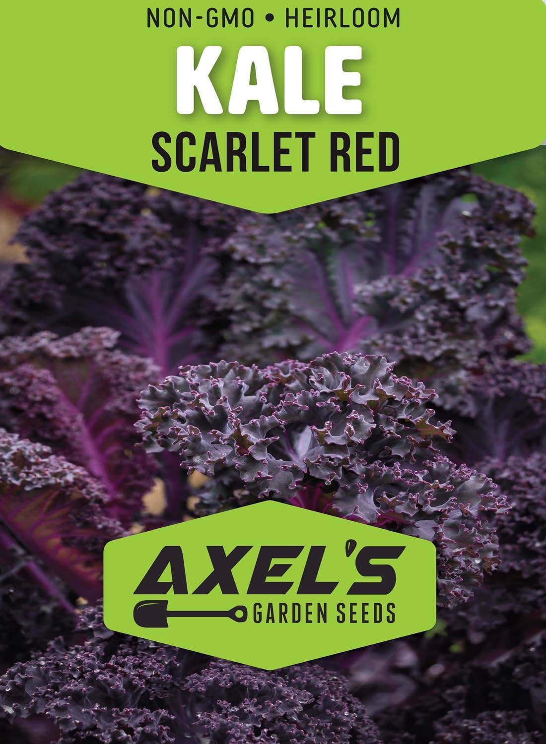 Kale Seeds for Planting - Plant & Grow Heirloom Kale Varieties Home Outdoor Garden – Easy Grow