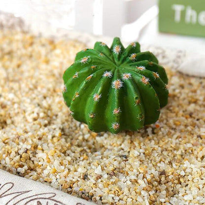 N|A Cayway 10 PCS Artificial Cactus and Succulent Plants - Faux Cacti Decor for Decoration - Bulk