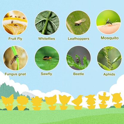 120 Pack Fungus Gnat Traps for House Indoor, Fungus Traps Fruit Fly Traps for Indoors Gnats Sticky