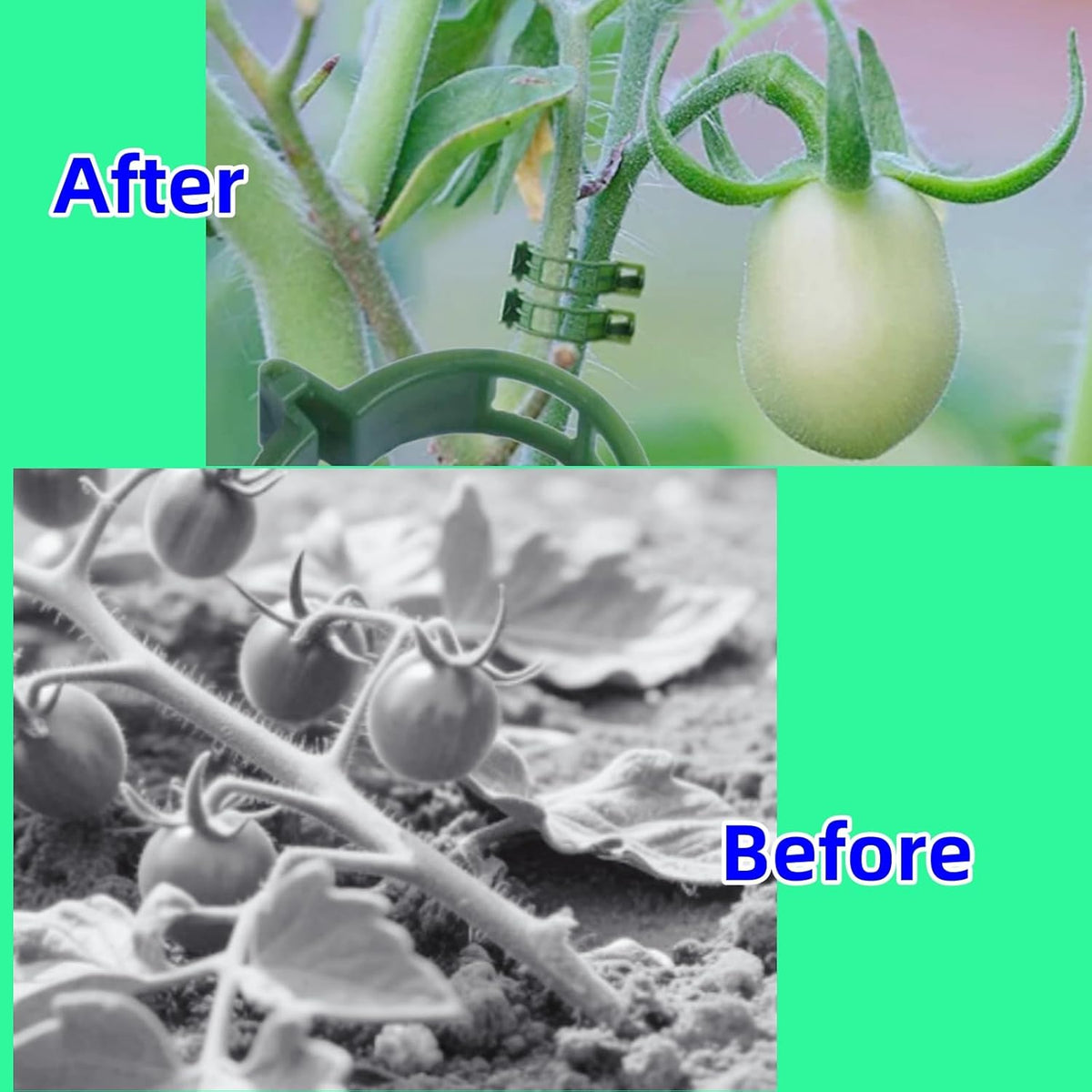 100Pcs Secured Plant Clips - Reusable Plastic Trellis Support for Tomato, Vine, Climbing Plants |