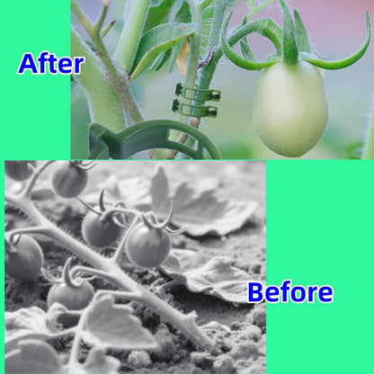 100Pcs Secured Plant Clips - Reusable Plastic Trellis Support for Tomato, Vine, Climbing Plants |