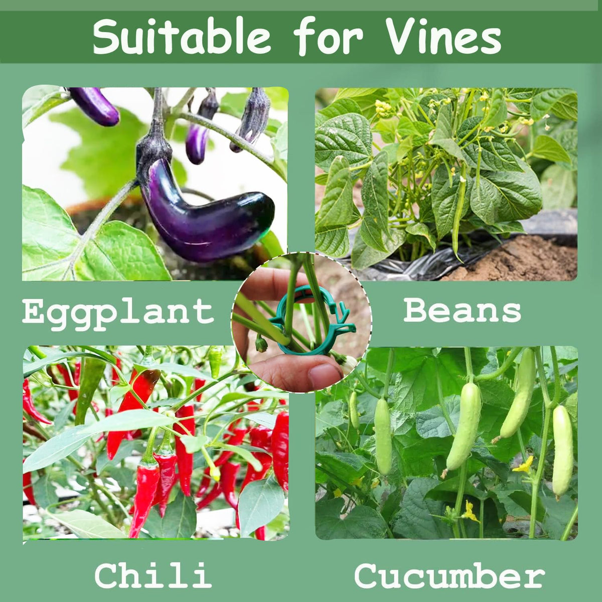 7Queen 100pcs Plant Support Clips - Green Tomato Clips for String Trellis, Grape Vine Clips for