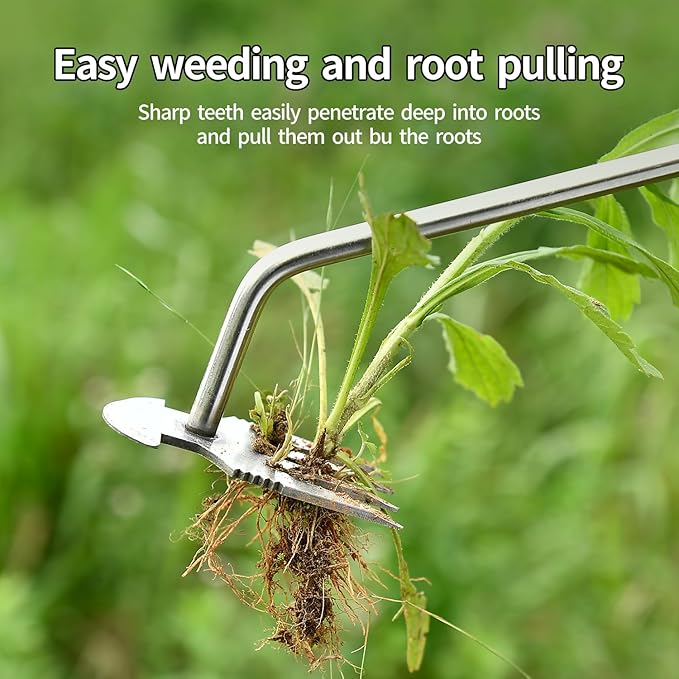 Weed Puller Tool，2024 New Garden Weeder Tool Stainless Steel Hand Weeder Tool,4 Teethes Dual