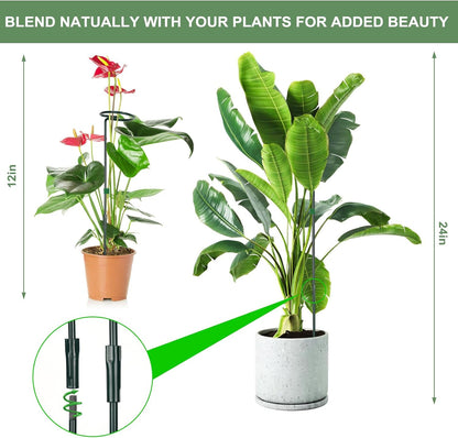 6 Packs Plant Support Sticks for Indoor Plants, Two Sizes (12 or 24 Inches) Orchid Stick and Clip