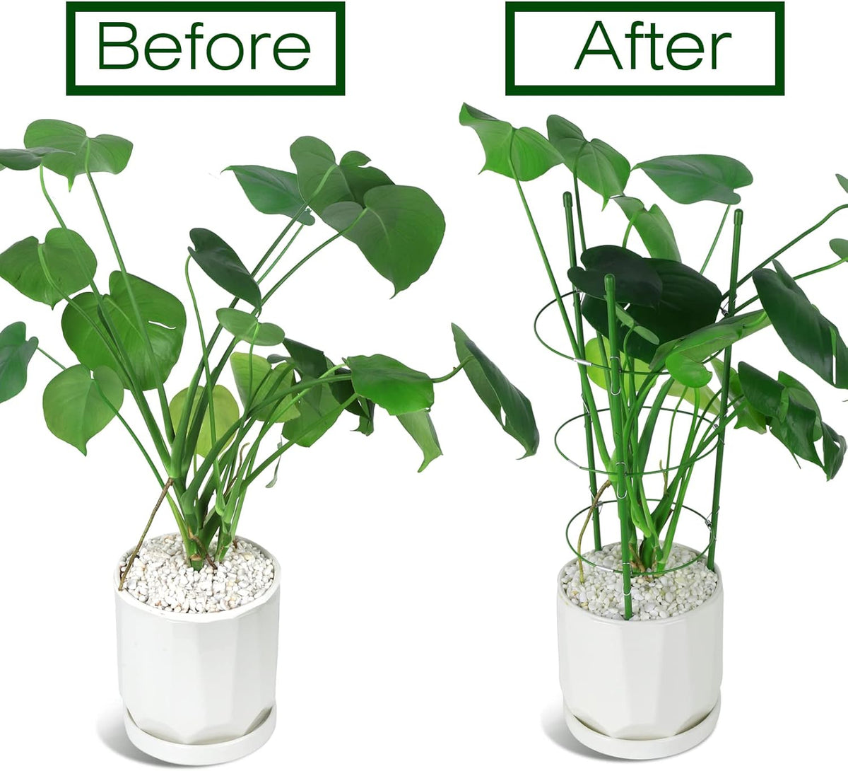 LEOBRO Tomato Cage, 2 PCS Plant Support Cage Rust Resistant Garden Ring Stake Plant Support for