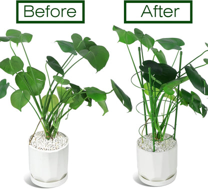 LEOBRO Tomato Cage, 2 PCS Plant Support Cage Rust Resistant Garden Ring Stake Plant Support for