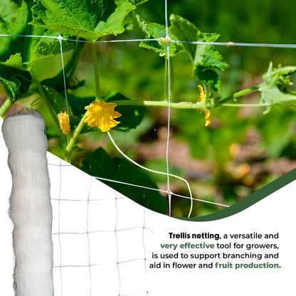 6.5 Feet by 4920-Feet Professional Grade Vegetable Support Trellis Netting Roll/Scrog Net Roll