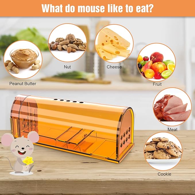4 Pack Humane Mouse Traps No Kill, Live Mouse Traps Indoor, Reusable Small Mice Trap Catcher for