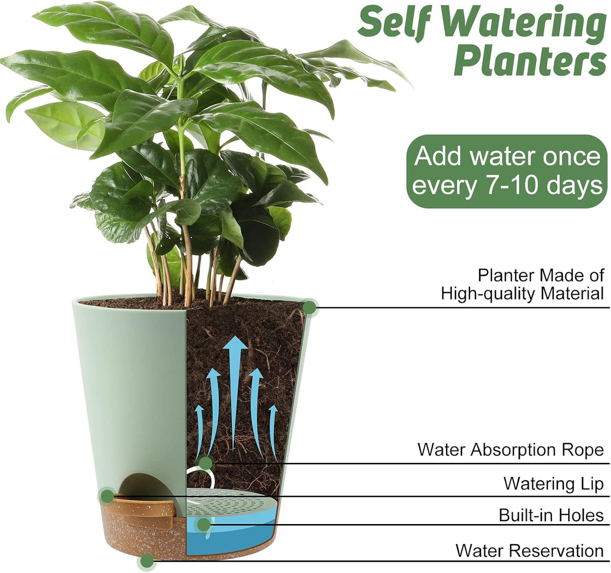 Indoor Self Watering Planters with Drainage Holes and Saucers, 8, 7, 6.5, 6, 5.5, 5 Inches, Green