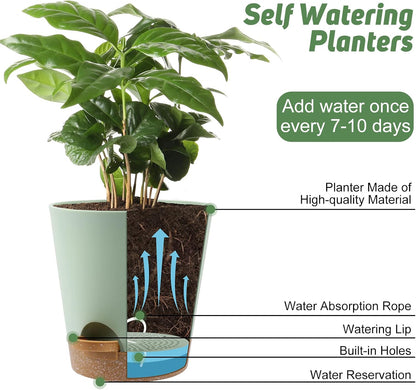 Indoor Self Watering Planters with Drainage Holes and Saucers, 8, 7, 6.5, 6, 5.5, 5 Inches, Green