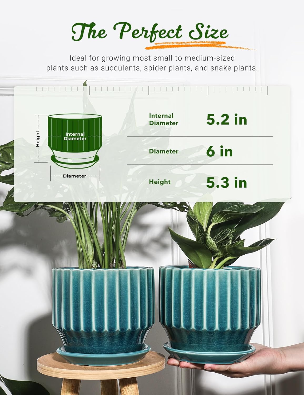 AISBUGUR Plant Pots 6 inch Ceramic Pots for Indoor Plants Set of 2 Flower Pots Unique Crackle Glaze