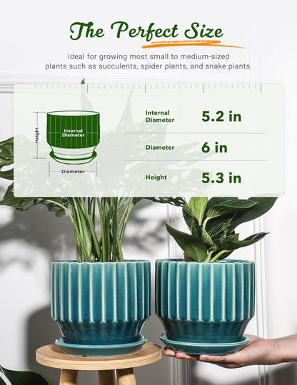 AISBUGUR Plant Pots 6 inch Ceramic Pots for Indoor Plants Set of 2 Flower Pots Unique Crackle Glaze