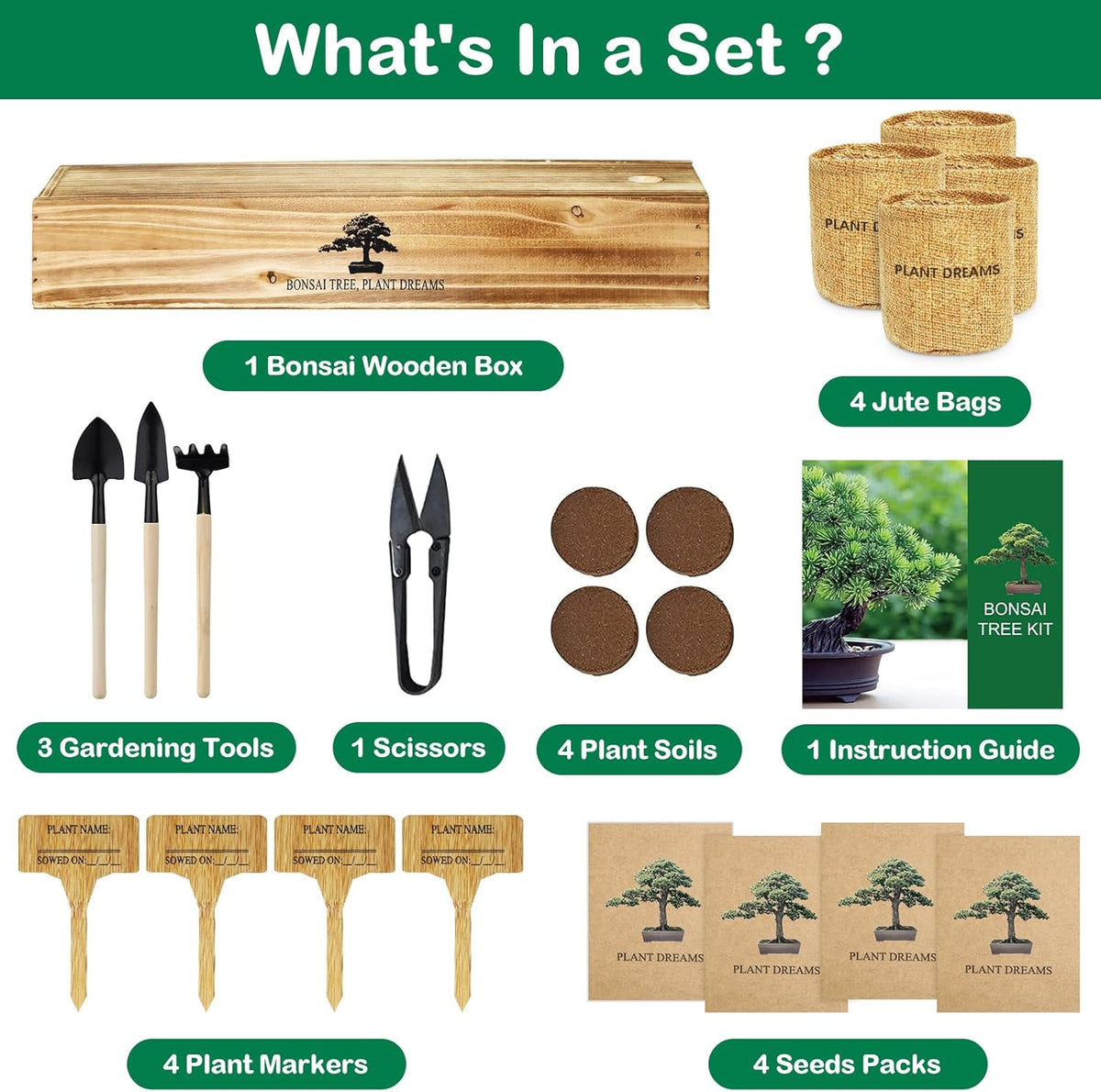 Bonsai Tree Kit, Complete Bonzai Tree Starter Kits with Tools, Unique DIY Gardening Gifts for Mom