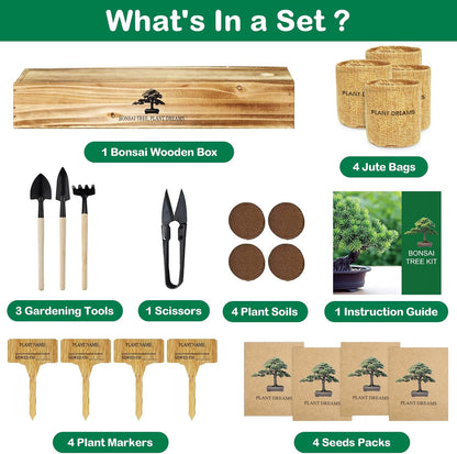 Bonsai Tree Kit, Complete Bonzai Tree Starter Kits with Tools, Unique DIY Gardening Gifts for Mom