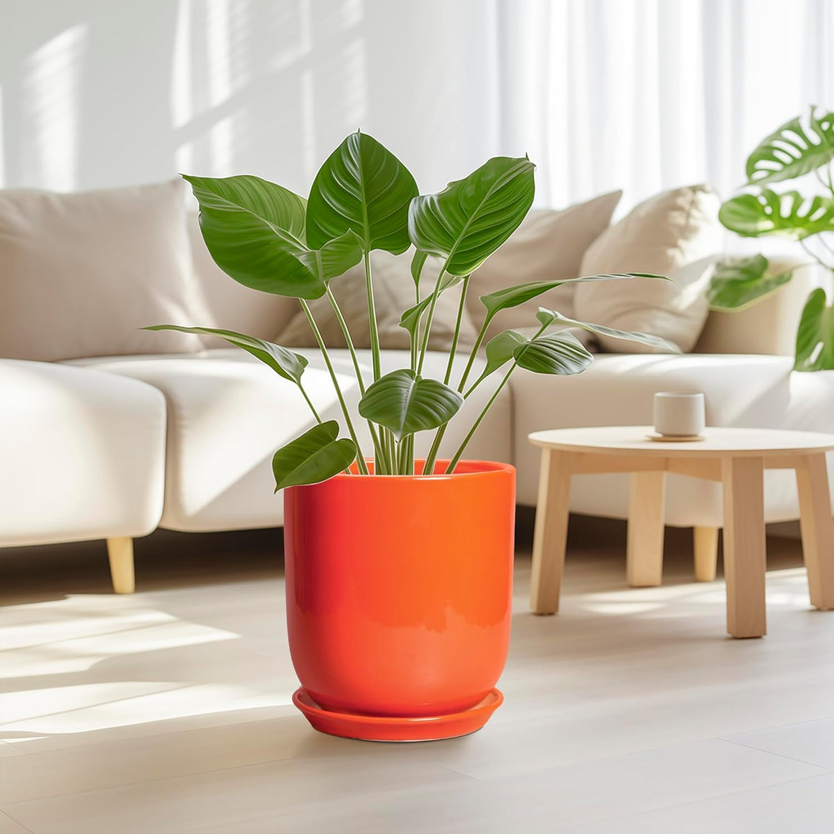 Indoor Planter 10 Inch - Ceramic Plant Pot with Drainage Hole and Saucer, Modern Decorative Round