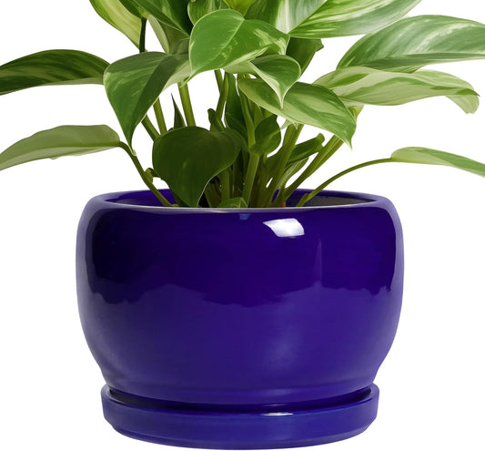 SQOWL 8 Inch Plant Pot - Ceramic Planter for Indoor Plants Outdoor, Ceramic Flower Pot with
