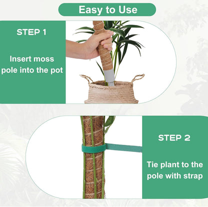 3 Pack Moss Pole, 50 Inch Monstera Plant Support, Tall Moss Poles for Climbing Plants Indoor DIY