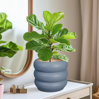 SQOWL Ceramic Pot for Plants - 8 Inch Plant Pot with Drainage Hole Planter for Indoor Plants
