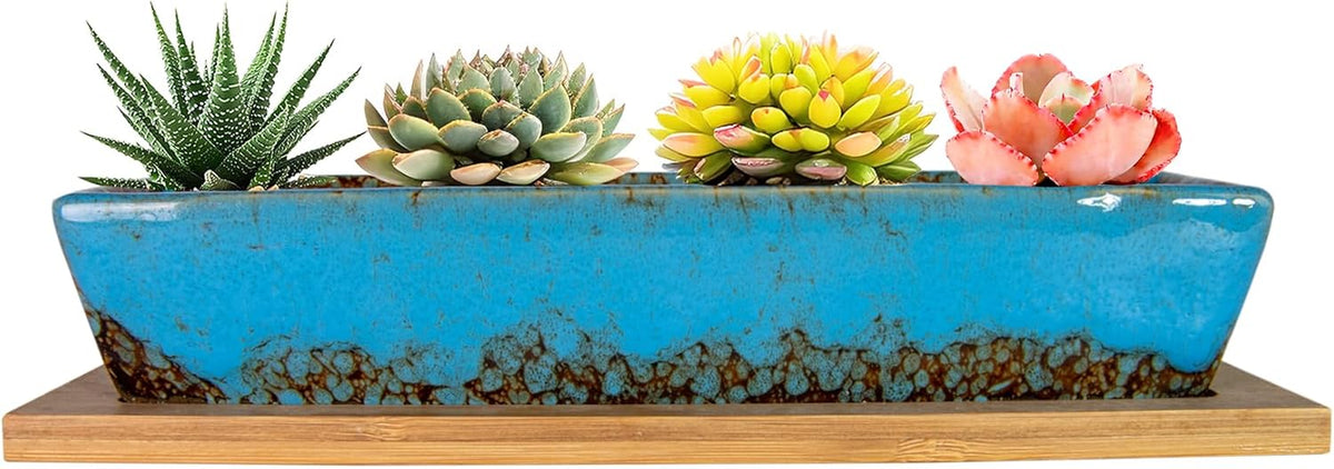 ARTKETTY Succulent Pots, 9.8 Inch Ceramic Succulent Planters with Drainage Small Bonsai Pot with