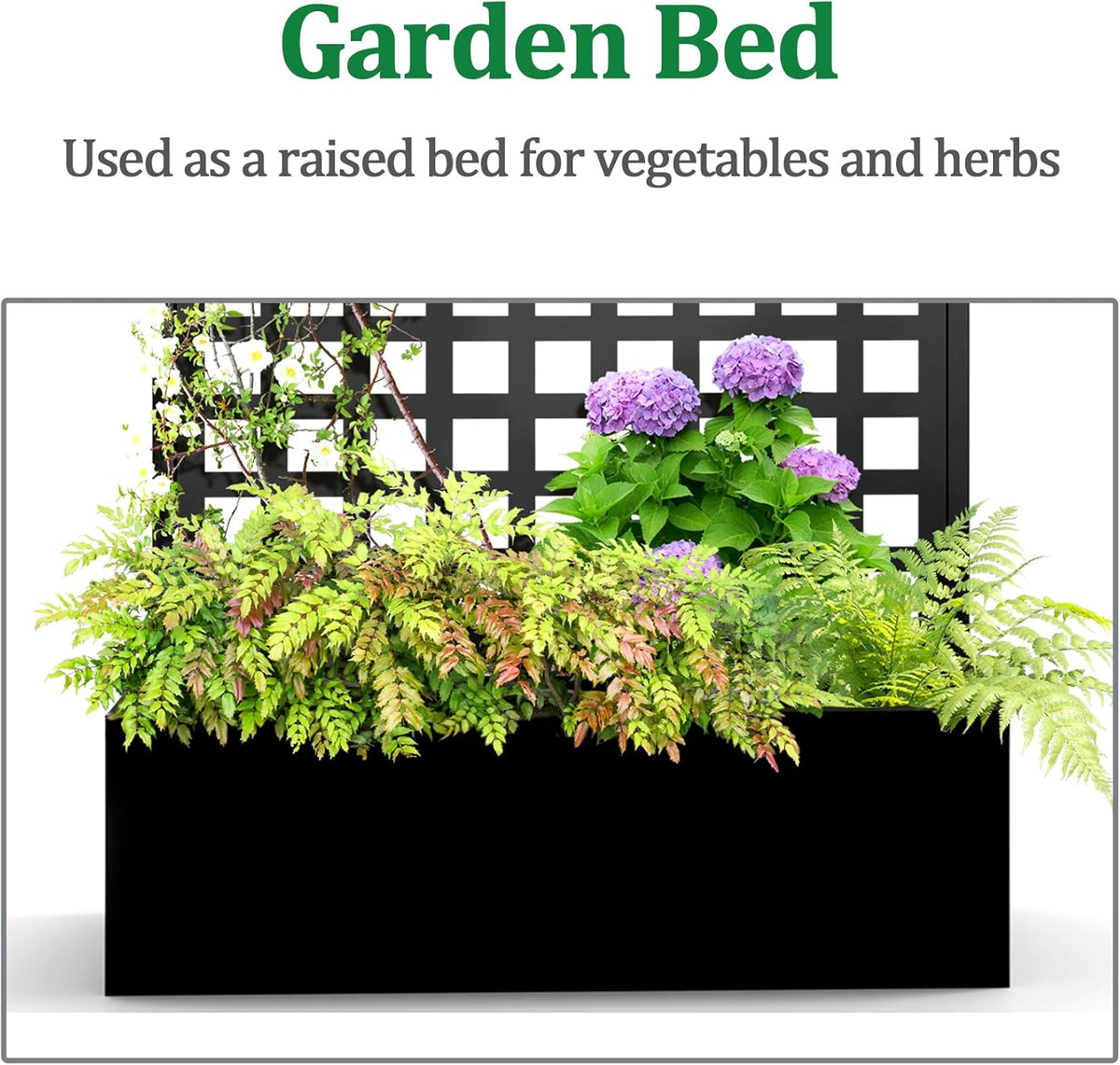 Metal Raised Garden Bed with Trellis, 2 in 1 Trellis with Planter Box & Privacy Screen for Climbing