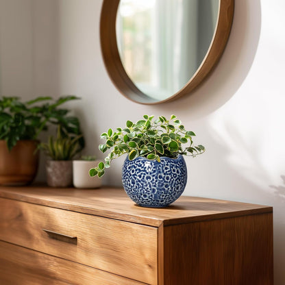 4 inch Plant Pots - Small Ceramic Planter with Drainage Hole, Succulent Pots for Indoor Outdoor