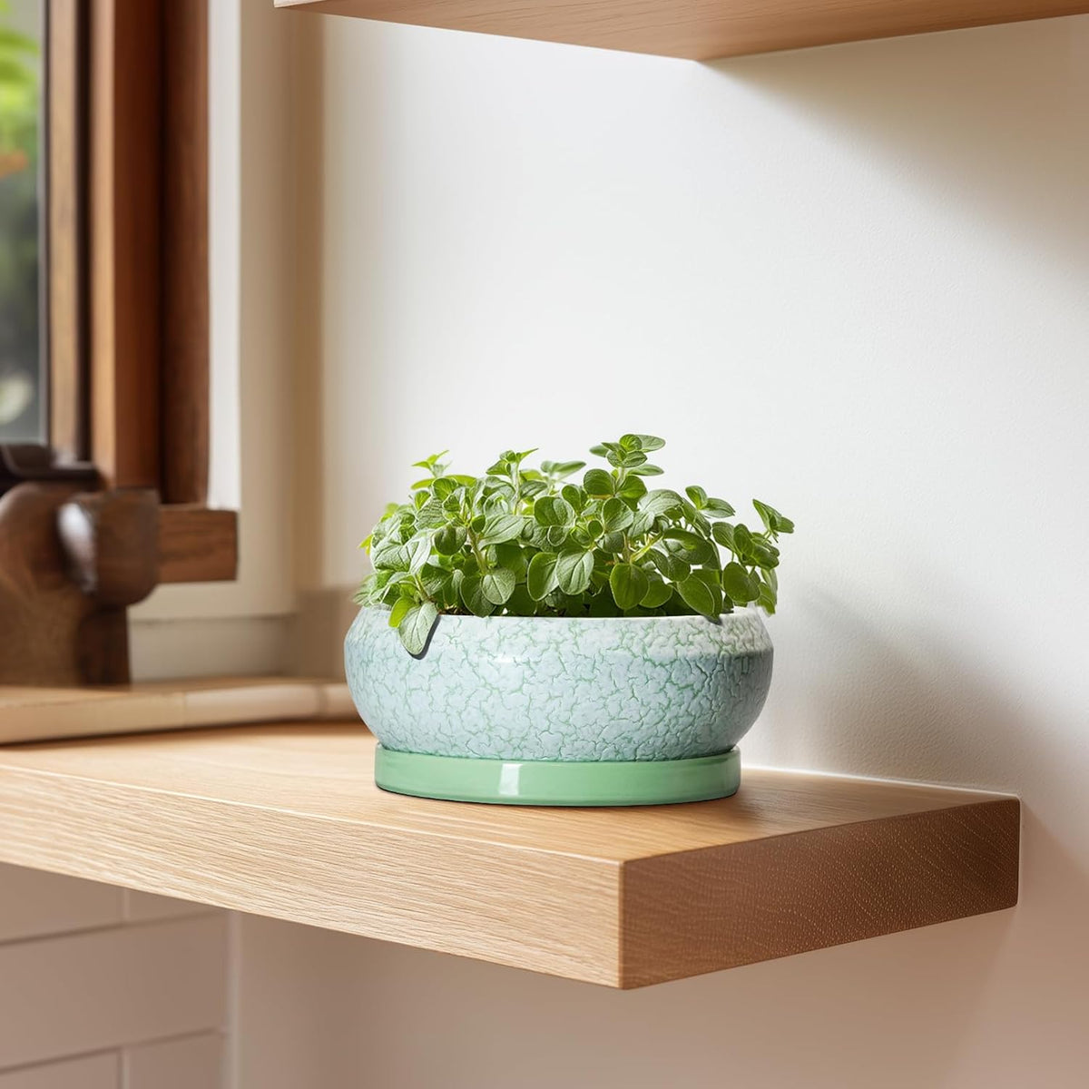 Succulent Pot 6 Inch - Ceramic Bonsai Pots Indoor Outdoor, Shallow Plant Pots with Drainage Hole