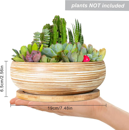 ARTKETTY Succulent Pots - 7.5 Inch Large Plant Pot with Bamboo Tray, Shallow Bonsai Pots with
