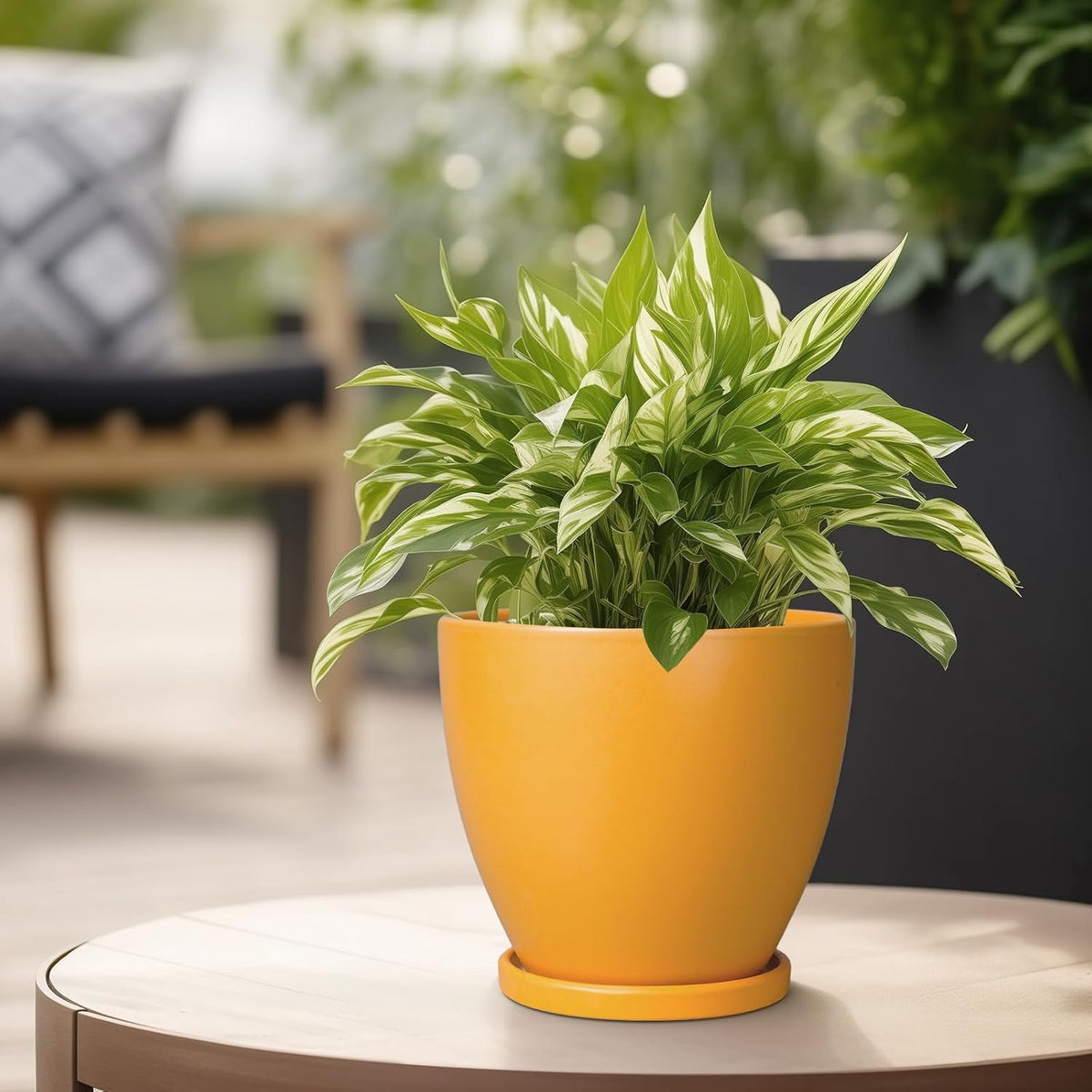 6.8 Inch Plant Pot - Ceramic Planter with Drainage Hole and Saucer, Modern Round Flower Pot