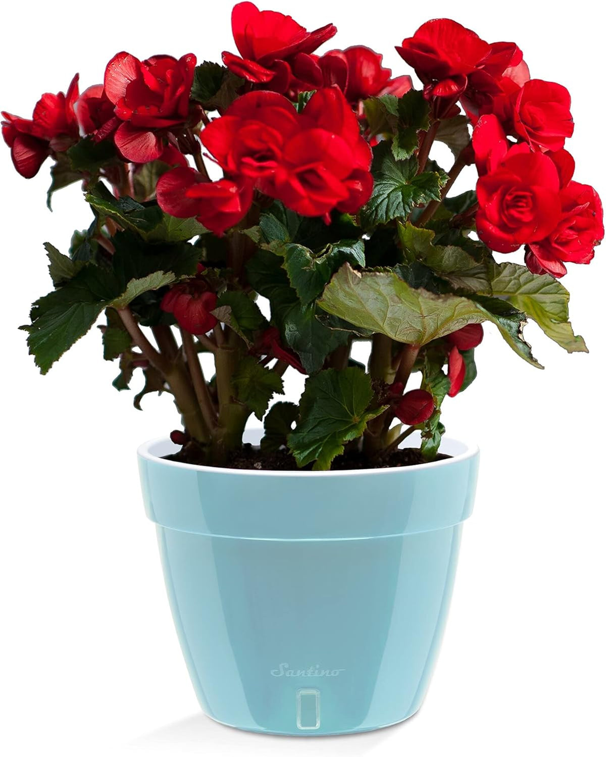 Santino ASTI 7.9 Inch Self Watering Planter Menthol/White Decorative Planter, Modern, Water Level