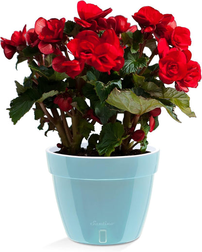 Santino ASTI 10.6 Inch Self Watering Planter Menthol/White for Indoor Plants - Premium Quality