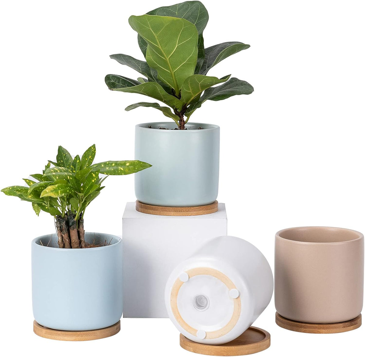 OMAYKEY Succulent Pots, 4 Inch Ceramic Planter Plant Pot with Tray, Drainage Hole & Mesh Pad for
