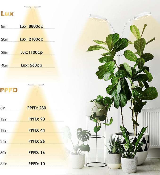 GLOWRIUM Grow Light with Stand,2-Head LED Plant Light for Indoor Plants, Full Spectrum Grow Lamp