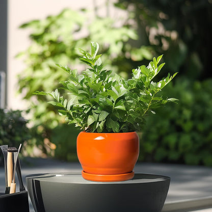 SQOWL Ceramic Plants Pots - 6 Inch Planter Indoor with Drainage Hole and Plant Saucer, Modern Round