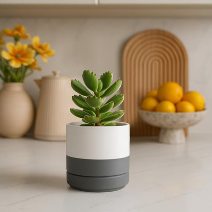 D'vine Dev Set of 4 Small Ceramic Plant Pots, 4.7 Inch Succulent Planter Pot for Plants with