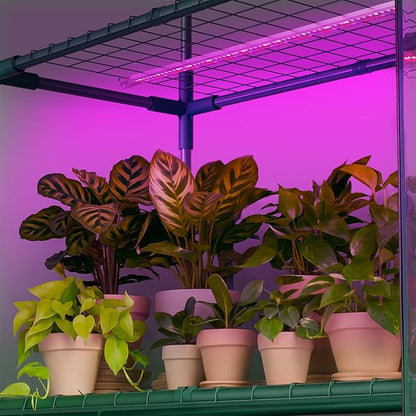 Indoor Greenhouse with Grow Light, 4-Tier Mini Greenhouse 56.3"x28.7"x76.8" Small Greenhouse with