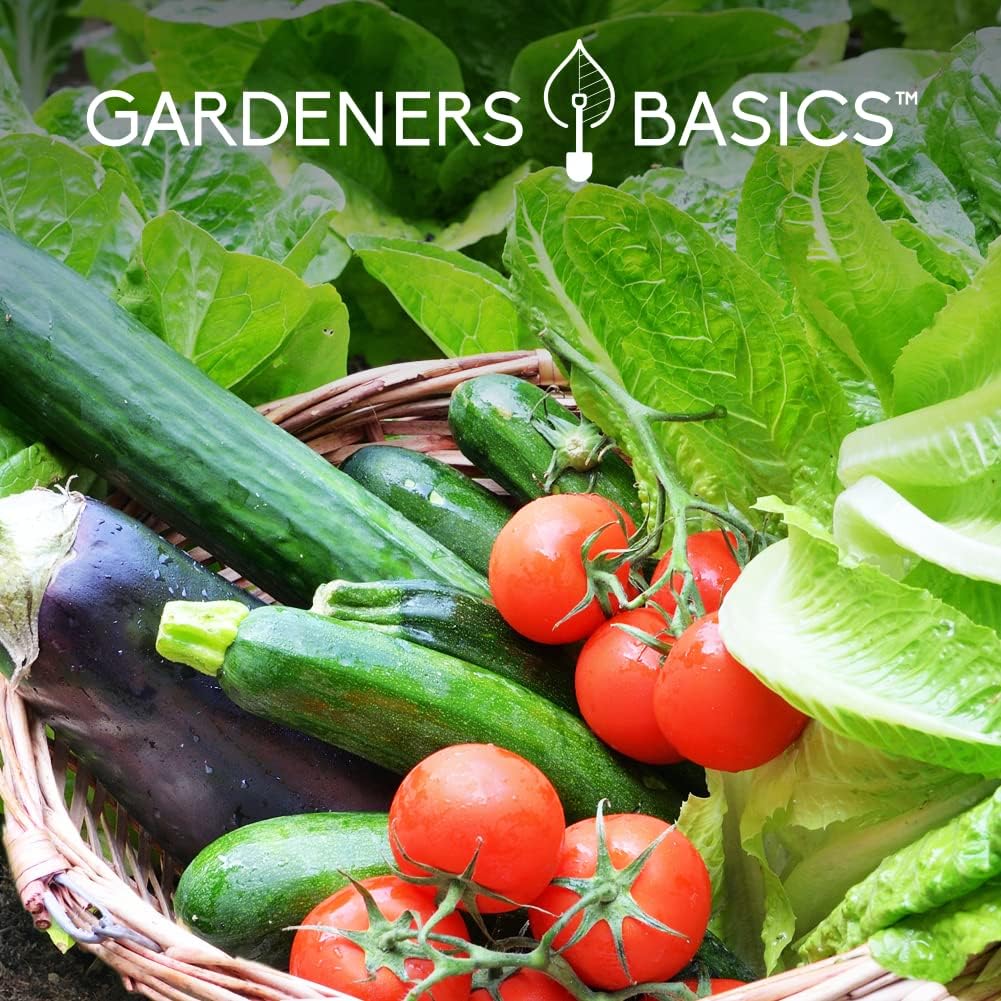 Gardeners Basics Seed Safe Kit – 35 Easy-to-Grow Heirloom Vegetable Seeds for Beginners – Non-GMO
