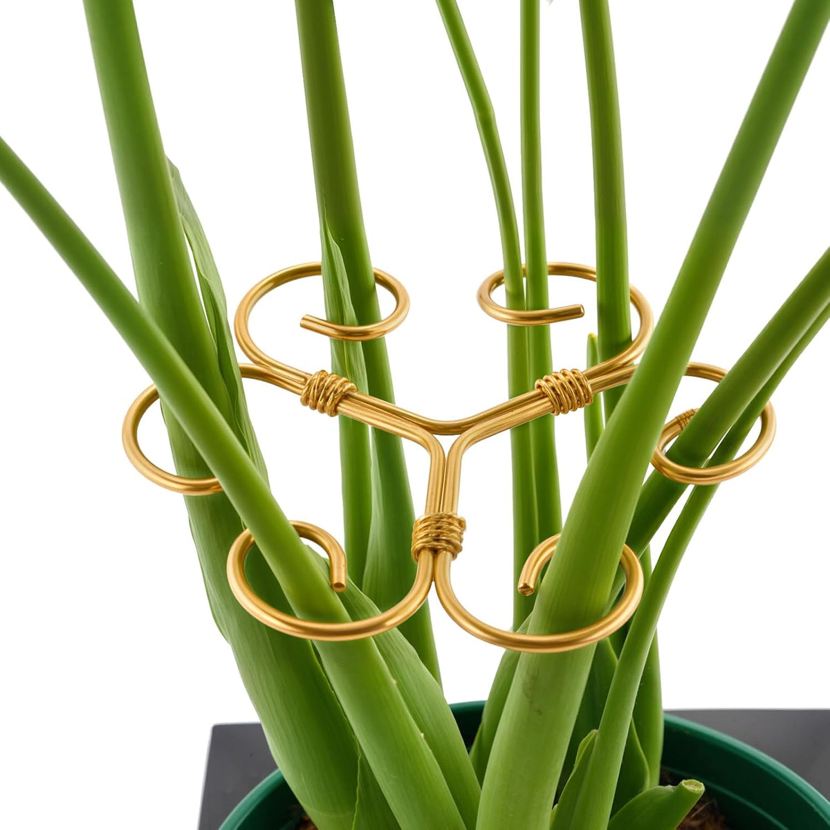 4PCS Iron Monstera Support, Uniquely Designed Plant Support Stakes for Indoor Plants, Stable Plant