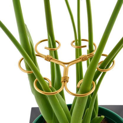 4PCS Iron Monstera Support, Uniquely Designed Plant Support Stakes for Indoor Plants, Stable Plant