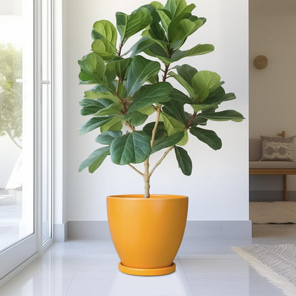 10 Inch Plant Pot - Ceramic Planter with Drainage Hole and Saucer, Modern Flower Pot, Round