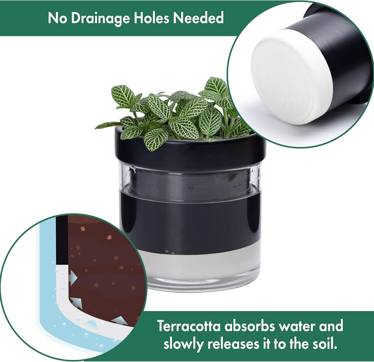 Phoenix Vine 4 Inch Self Watering Terracotta Planter, Black Terracotta Clay Pot with Glass