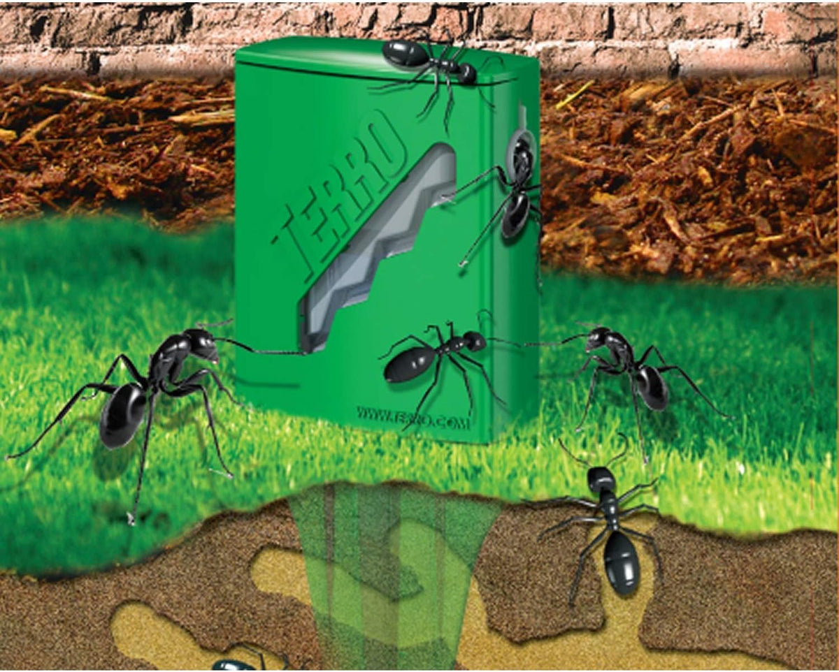 Terro T1812 Outdoor Liquid Ant Killer Bait Stakes - 8 Count (0.25 oz each) (2 Pack)